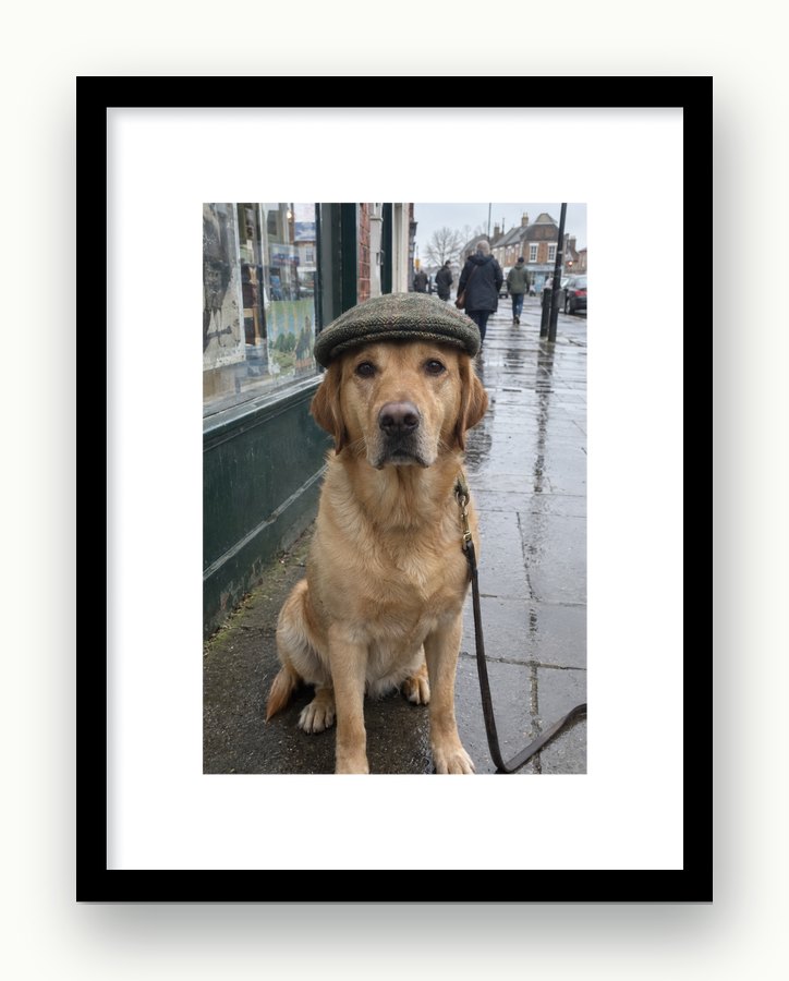 That dog, framed