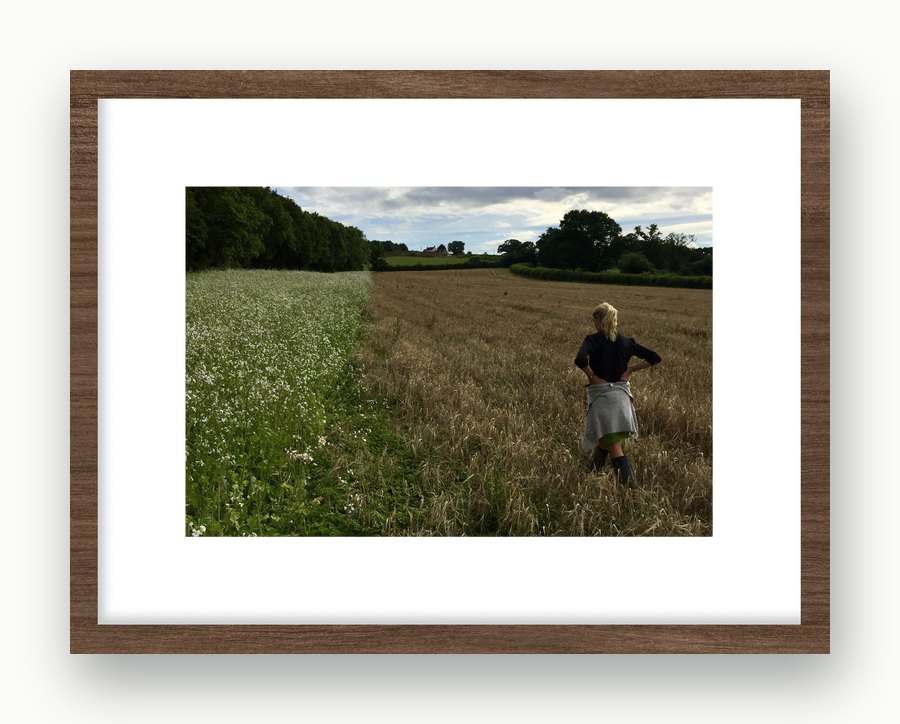 That field in July, framed